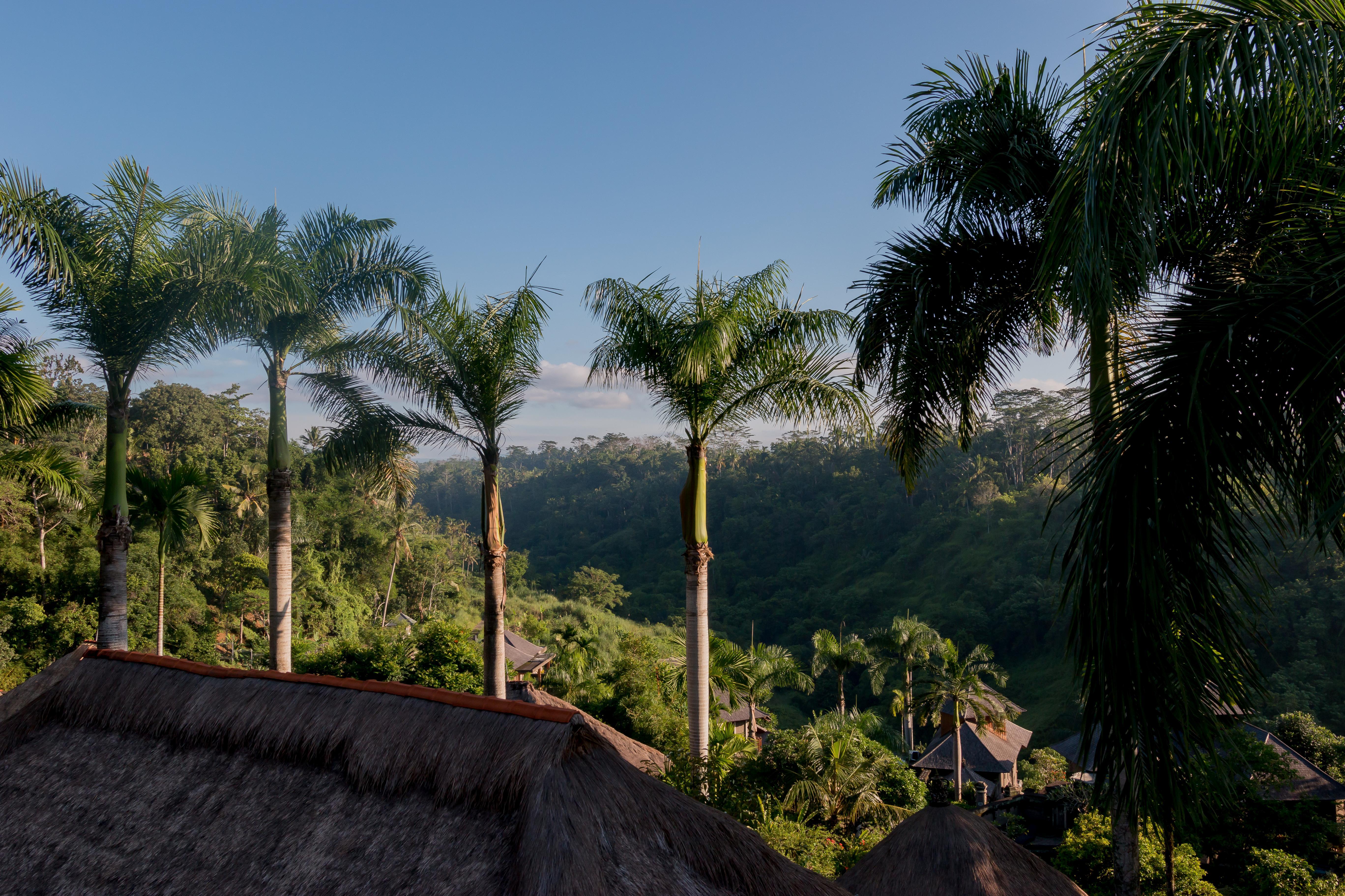 The Payogan Villa Resort And Spa Ubud Exterior foto