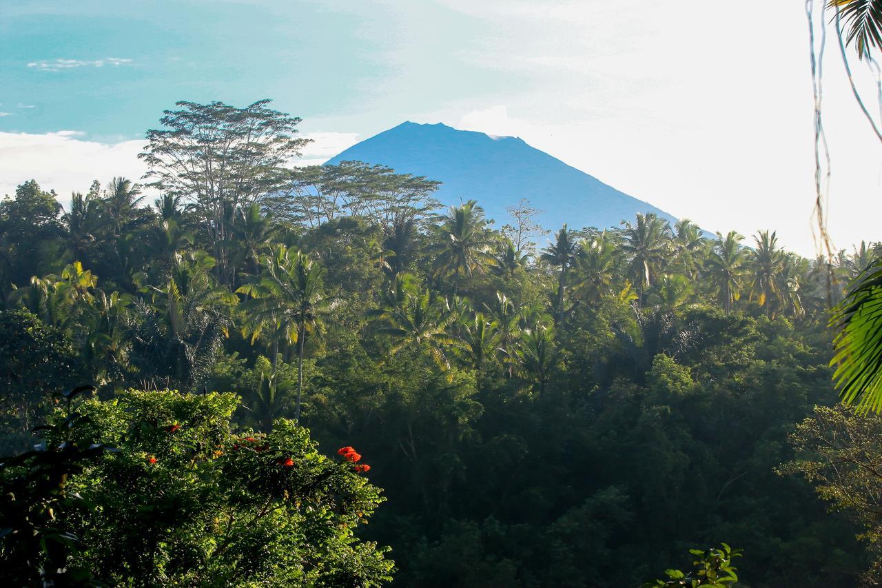 The Payogan Villa Resort And Spa Ubud Exterior foto